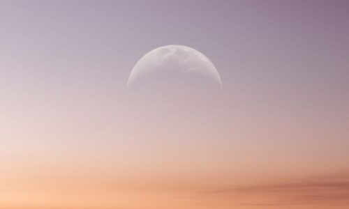 Pilnatis 2025 vasaris