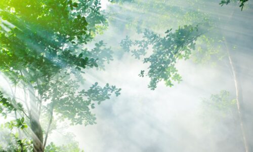 Astroprognozė: 2025 balandis