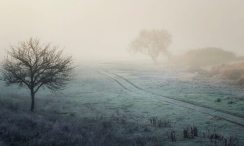 Pavasario lygiadienis 2025