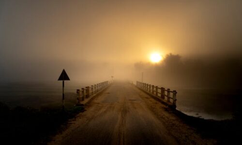 Astroprognozė: 2025 m. lapkritis