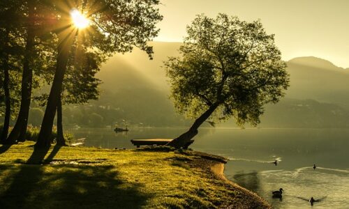 Kas yra soliaras: tavo asmeniniai Naujieji metai